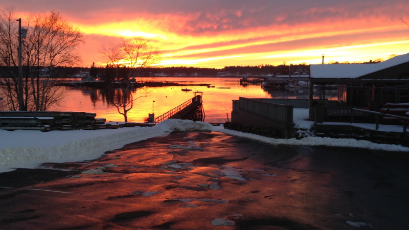 “Lobster Dock Reflections.” Nicia Gruener, Boothbay Nicia Gruener