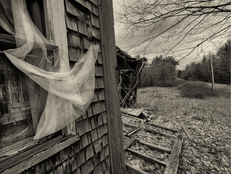 “Forlorn and Tattered.” John Boeckeler, Camden John Boeckeler