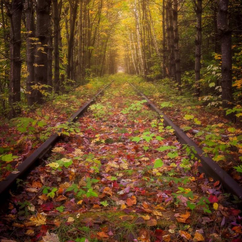 First Place 2018 in special category, Remnants: “Wise and Silent” by Doug Van Kampen. Courtesy of MPS Doug Van Kampen photo