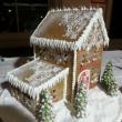Trish Moroz 2nd place gingerbread