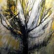 “Creation”  Leonard Meiselman