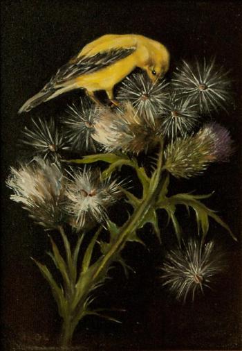 Garden Thistle by Heather Gibson Lusk