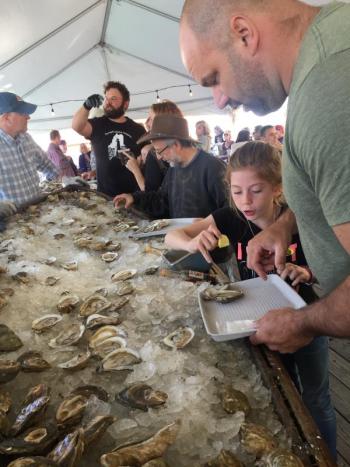 That one has a lot of natural liquor, and look at how it glistens! LISA KRISTOFF/Boothbay Register