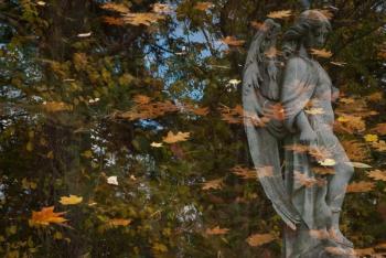 This haunting image by Mark Stern, entitled “Falling Leaves” was awarded Best In Show at the 2018 Maine Photography Show. Who will it be in 2019? Courtesy of MPS Mark Stern photo