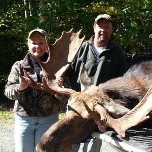 This bull moose's antlers were 48-inches wide and had 20 points. Courtesy of Marsha DeCosta This bull moose's antlers were 48-inches wide and had 20 points. Courtesy of Marsha DeCosta