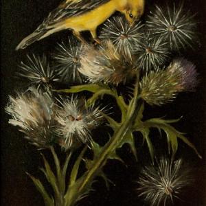 Garden Thistle by Heather Gibson Lusk