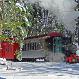 During North Pole Express guests will take a heated, steam train ride to meet Santa, and then enjoy homemade cookies and hot cocoa, see a large model train and village, make a vintage-inspired ornament to take home, and listen to a reading of "The Night Before Christmas." The event is the final fundraiser of the year for the Boothbay Railway Village and the last chance to ride the Museum’s train until May 2017. Courtesy of Steve Yenco